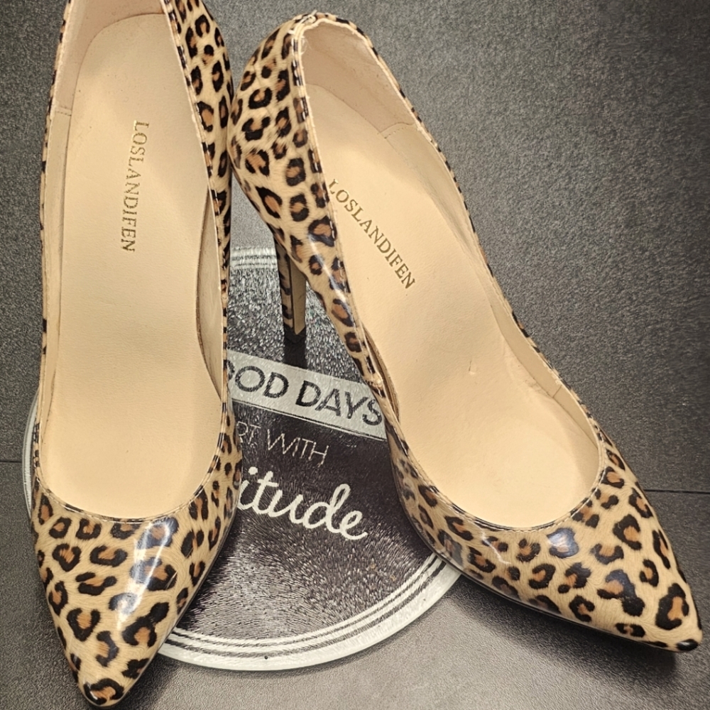 Loslandifen Cheetah Print Heels Size 40 (US 9.5)